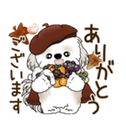 シーズー犬 2025 「ベレー帽さん」秋（個別スタンプ：29）