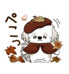 シーズー犬 2025 「ベレー帽さん」秋（個別スタンプ：30）