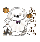 シーズー犬 2025 「ベレー帽さん」秋（個別スタンプ：32）