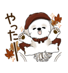 シーズー犬 2025 「ベレー帽さん」秋（個別スタンプ：33）