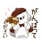 シーズー犬 2025 「ベレー帽さん」秋（個別スタンプ：34）