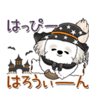 シーズー犬 2025 「ベレー帽さん」秋（個別スタンプ：35）