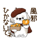 シーズー犬 2025 「ベレー帽さん」秋（個別スタンプ：37）