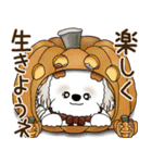 シーズー犬 2025 「ベレー帽さん」秋（個別スタンプ：39）