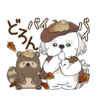 シーズー犬 2025 「ベレー帽さん」秋（個別スタンプ：40）