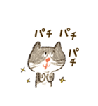 かわいいねこちゃん【毎日便利】（個別スタンプ：12）