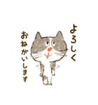 かわいいねこちゃん【毎日便利】（個別スタンプ：13）