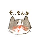 かわいいねこちゃん【毎日便利】（個別スタンプ：17）