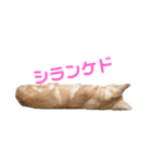 うちのルイちゃん（個別スタンプ：7）