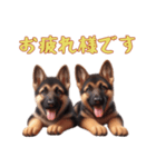 [お疲れ様です専用]ジャーマンシェパード（個別スタンプ：1）