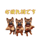 [お疲れ様です専用]ジャーマンシェパード（個別スタンプ：3）