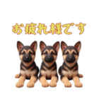 [お疲れ様です専用]ジャーマンシェパード（個別スタンプ：5）