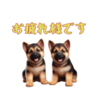 [お疲れ様です専用]ジャーマンシェパード（個別スタンプ：7）