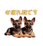 [お疲れ様です専用]ジャーマンシェパード（個別スタンプ：11）