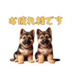[お疲れ様です専用]ジャーマンシェパード（個別スタンプ：15）