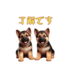 [了解です専用]ジャーマンシェパードベビー（個別スタンプ：5）