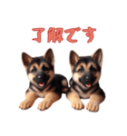 [了解です専用]ジャーマンシェパードベビー（個別スタンプ：6）