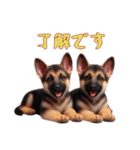 [了解です専用]ジャーマンシェパードベビー（個別スタンプ：11）