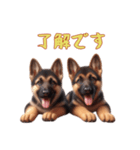 [了解です専用]ジャーマンシェパードベビー（個別スタンプ：13）