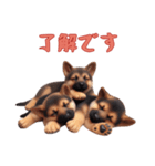 [了解です専用]ジャーマンシェパードベビー（個別スタンプ：16）