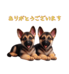 [ありがとう専用]ジャーマンシェパード（個別スタンプ：1）