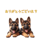 [ありがとう専用]ジャーマンシェパード（個別スタンプ：3）