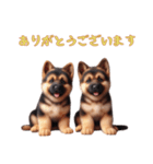 [ありがとう専用]ジャーマンシェパード（個別スタンプ：9）