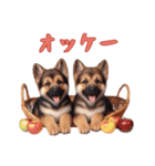 [オッケー専用]ジャーマンシェパードベビー（個別スタンプ：1）