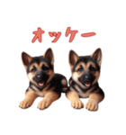 [オッケー専用]ジャーマンシェパードベビー（個別スタンプ：2）