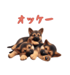 [オッケー専用]ジャーマンシェパードベビー（個別スタンプ：4）