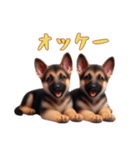 [オッケー専用]ジャーマンシェパードベビー（個別スタンプ：8）