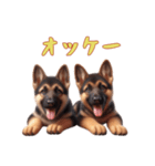 [オッケー専用]ジャーマンシェパードベビー（個別スタンプ：11）