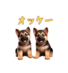 [オッケー専用]ジャーマンシェパードベビー（個別スタンプ：12）