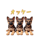[オッケー専用]ジャーマンシェパードベビー（個別スタンプ：16）