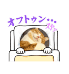 モッフリー（個別スタンプ：1）