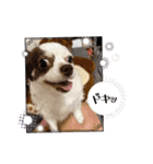 モッフリー（個別スタンプ：6）