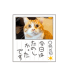 モッフリー（個別スタンプ：7）
