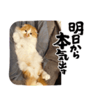 モッフリー（個別スタンプ：8）