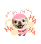モッフリー（個別スタンプ：11）