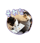 モッフリー（個別スタンプ：14）