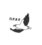 野鳥との出会い〜シンガポール編〜（個別スタンプ：4）