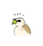野鳥との出会い〜シンガポール編〜（個別スタンプ：11）