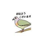 野鳥との出会い〜シンガポール編〜（個別スタンプ：14）