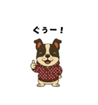日常会話で大活躍！かわいいパーカー犬2（個別スタンプ：1）