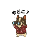 日常会話で大活躍！かわいいパーカー犬2（個別スタンプ：3）