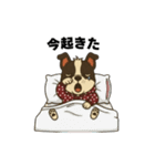 日常会話で大活躍！かわいいパーカー犬2（個別スタンプ：4）