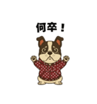 日常会話で大活躍！かわいいパーカー犬2（個別スタンプ：8）