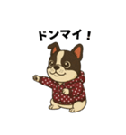 日常会話で大活躍！かわいいパーカー犬2（個別スタンプ：10）