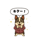 日常会話で大活躍！かわいいパーカー犬2（個別スタンプ：21）