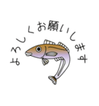 鱚彦（きすひこ）くんの日常【敬語】会話（個別スタンプ：8）